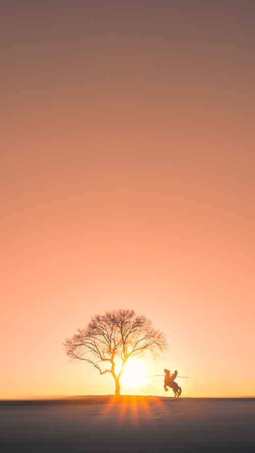 IM体育注册链接-班凯罗爆发，北京队关键战突围鹈鹕