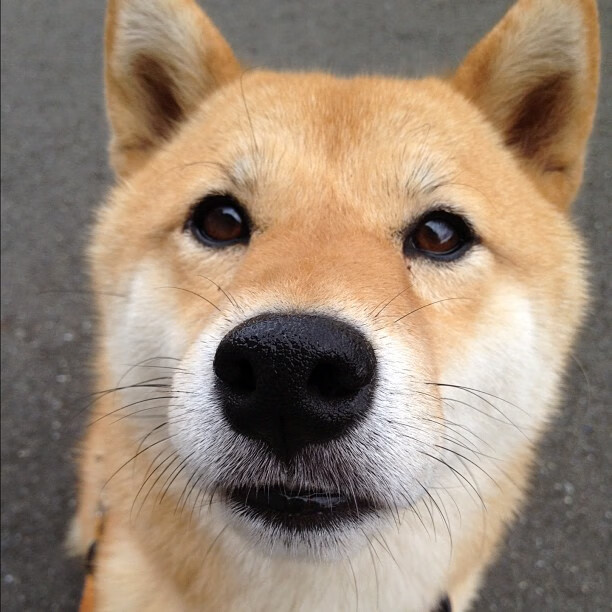 IM体育社区互动入口-跨界制霸，从乌克兰智利到F1赛道，巴尔韦德的接管哲学